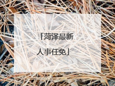 菏泽最新人事任免
