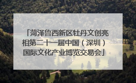 菏泽鲁西新区牡丹文创亮相第二十一届中国（深圳）国际文化产业博览交易会