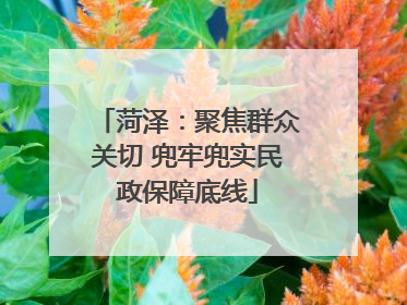 菏泽：聚焦群众关切 兜牢兜实民政保障底线
