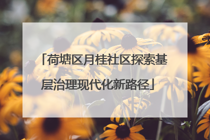 荷塘区月桂社区探索基层治理现代化新路径