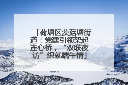 荷塘区茨菇塘街道：党建引领架起连心桥，“双联夜访”织就端午情
