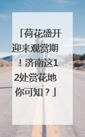 荷花盛开迎来观赏期！济南这12处赏花地你可知？