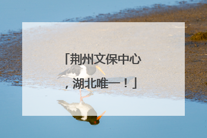 荆州文保中心，湖北唯一！