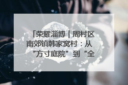 荣耀淄博｜周村区南郊镇韩家窝村：从“方寸庭院”到“全域文明”，乡村振兴的“美学革命”