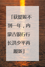 获提拔不到一年，内蒙古银行行长洪少平再履新