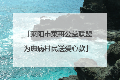 莱阳市菜哥公益联盟为患病村民送爱心款