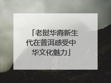 老挝华裔新生代在普洱感受中华文化魅力