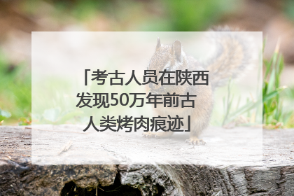 考古人员在陕西发现50万年前古人类烤肉痕迹
