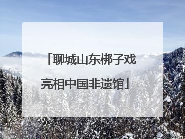 聊城山东梆子戏亮相中国非遗馆