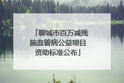 聊城市百万减残脑血管病公益项目资助标准公布