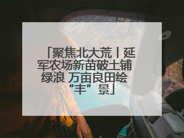 聚焦北大荒丨延军农场新苗破土铺绿浪 万亩良田绘“丰”景