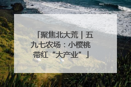 聚焦北大荒｜五九七农场：小樱桃带红“大产业”