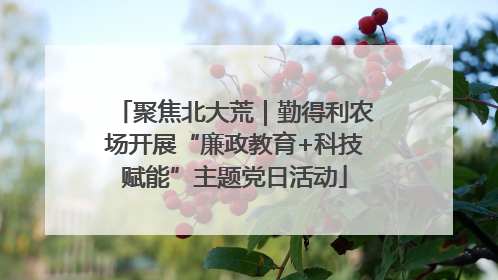 聚焦北大荒｜勤得利农场开展“廉政教育+科技赋能”主题党日活动