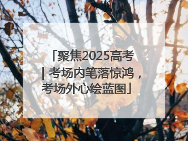 聚焦2025高考｜考场内笔落惊鸿，考场外心绘蓝图