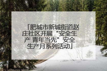 肥城市新城街道赵庄社区开展“安全生产 青年当先”安全生产月系列活动
