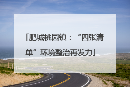 肥城桃园镇：“四张清单”环境整治再发力