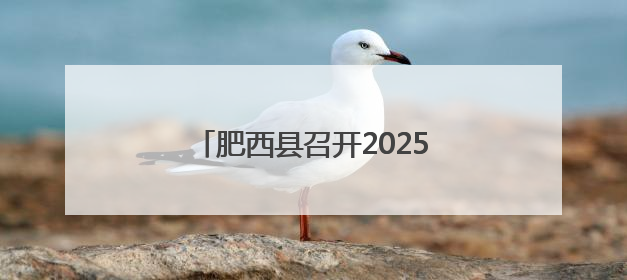 肥西县召开2025年高考考务培训会