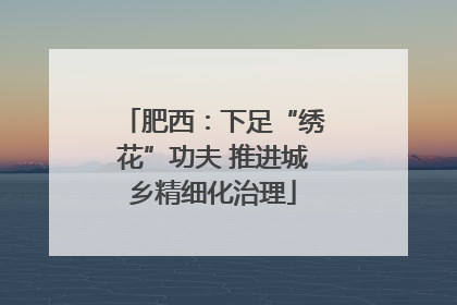 肥西：下足“绣花”功夫 推进城乡精细化治理
