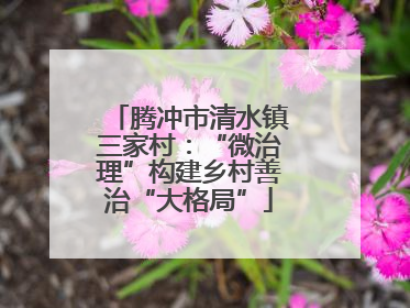 腾冲市清水镇三家村：“微治理”构建乡村善治“大格局”