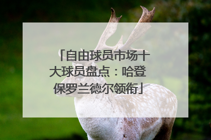 自由球员市场十大球员盘点：哈登保罗兰德尔领衔