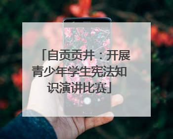 自贡贡井：开展青少年学生宪法知识演讲比赛