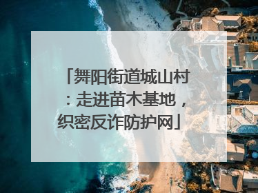 舞阳街道城山村：走进苗木基地，织密反诈防护网
