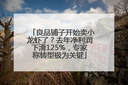 良品铺子开始卖小龙虾了？去年净利润下滑125%，专家称转型极为关键