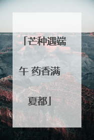 芒种遇端午 药香满夏都