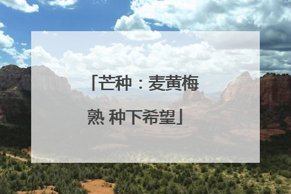芒种：麦黄梅熟 种下希望