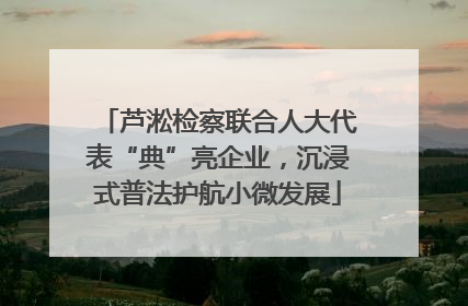 芦淞检察联合人大代表“典”亮企业，沉浸式普法护航小微发展
