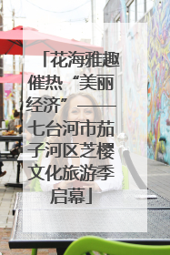 花海雅趣催热“美丽经济”——七台河市茄子河区芝樱文化旅游季启幕