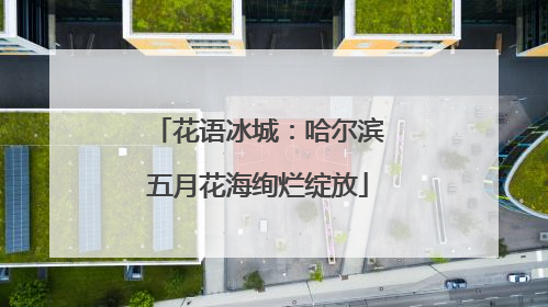 花语冰城：哈尔滨五月花海绚烂绽放