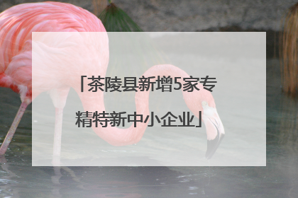 茶陵县新增5家专精特新中小企业