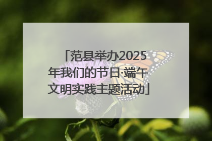 范县举办2025年我们的节日·端午文明实践主题活动
