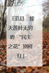 范县：接天莲叶无穷碧 “民主之花”别样红