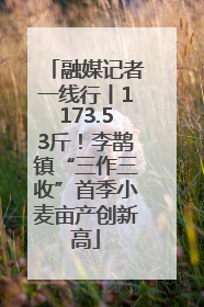 融媒记者一线行丨1173.53斤！李鹊镇“三作三收”首季小麦亩产创新高