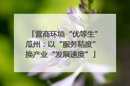 营商环境“优等生”瓜州：以“服务精度”换产业“发展速度”