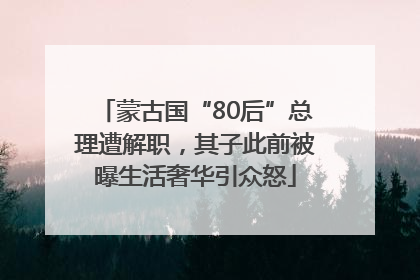 蒙古国“80后”总理遭解职，其子此前被曝生活奢华引众怒
