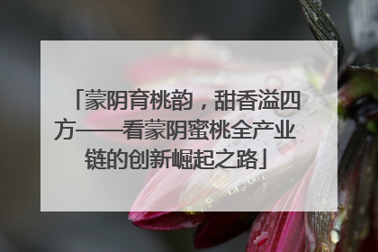 蒙阴育桃韵，甜香溢四方——看蒙阴蜜桃全产业链的创新崛起之路