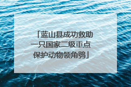 蓝山县成功救助一只国家二级重点保护动物领角鸮