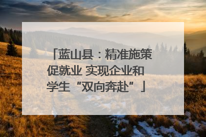 蓝山县：精准施策促就业 实现企业和学生“双向奔赴”