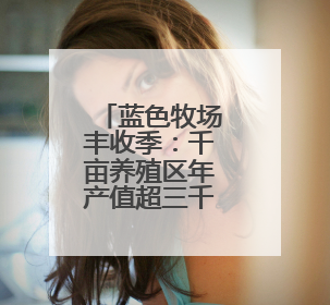 蓝色牧场丰收季：千亩养殖区年产值超三千万 海产经济活力足