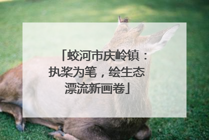 蛟河市庆岭镇：执桨为笔，绘生态漂流新画卷