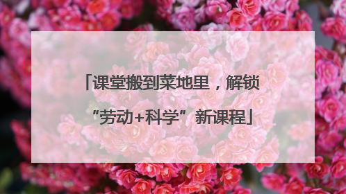 课堂搬到菜地里，解锁“劳动+科学”新课程