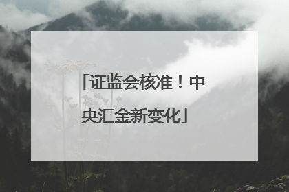 证监会核准！中央汇金新变化