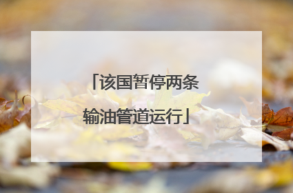 该国暂停两条输油管道运行