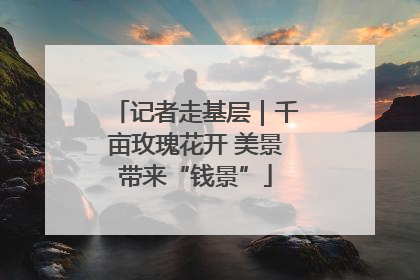 记者走基层｜千亩玫瑰花开 美景带来“钱景”