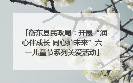 衡东县民政局：开展“润心伴成长 同心护未来”六一儿童节系列关爱活动