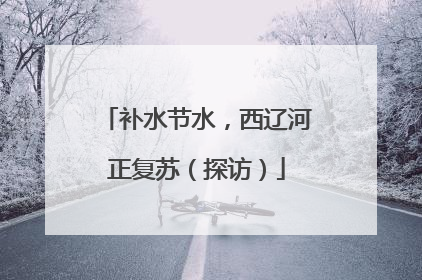 补水节水，西辽河正复苏（探访）