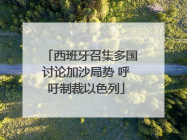 西班牙召集多国讨论加沙局势 呼吁制裁以色列